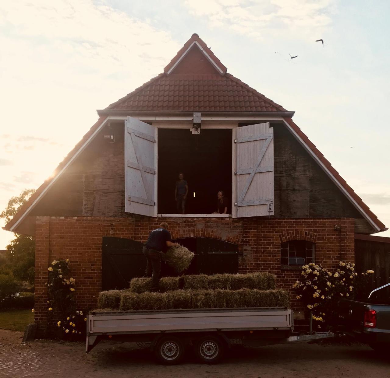 Ferienanlage Gutshaus Gramkow Extérieur photo