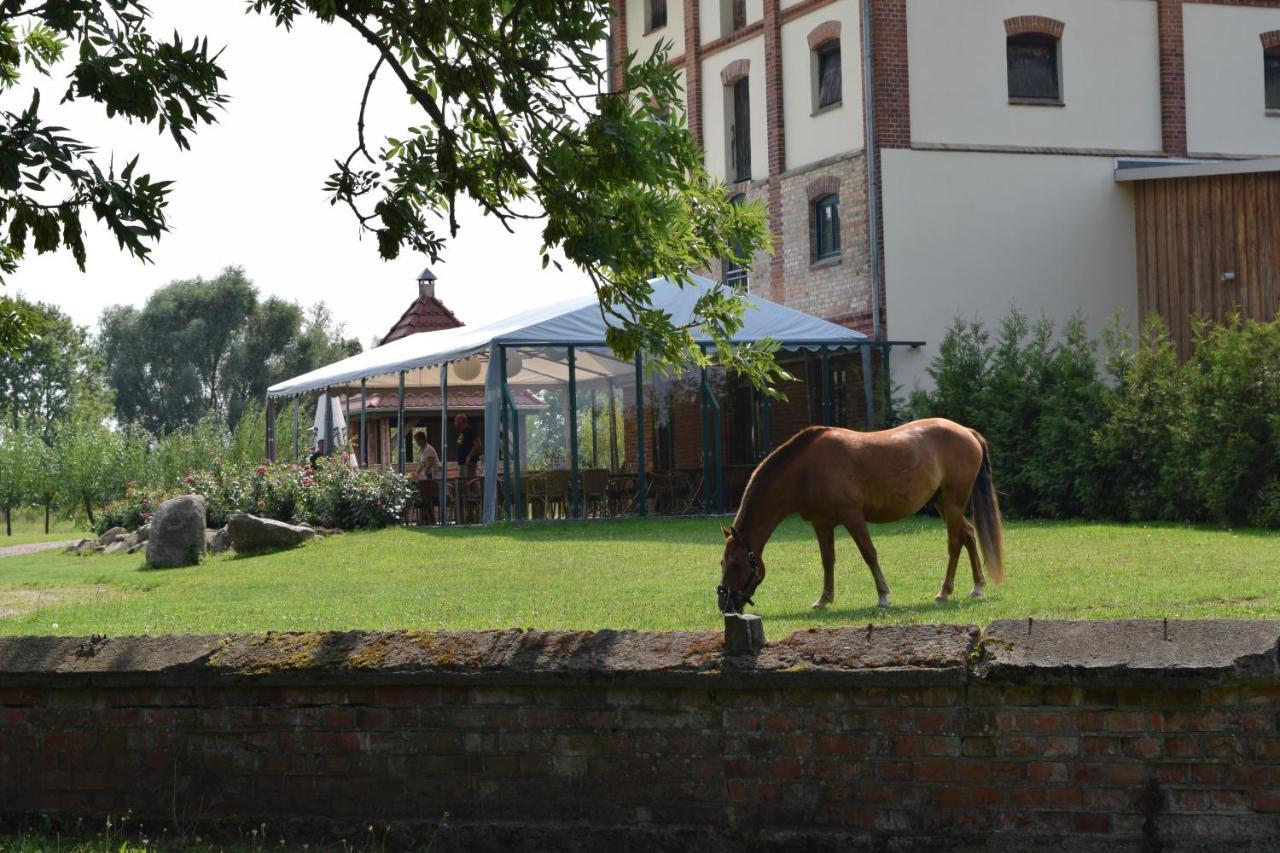 Ferienanlage Gutshaus Gramkow Extérieur photo